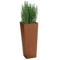 Corten Planters Extremely Durable