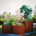 Various Design Corten Planter