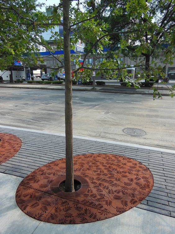 Reixes d'arbres de forma moderna
