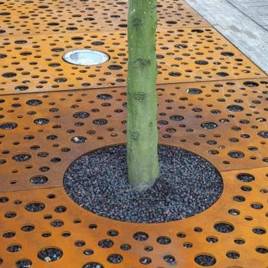Arbre de reixeta